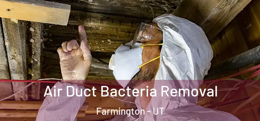  Air Duct Bacteria Removal Farmington - UT