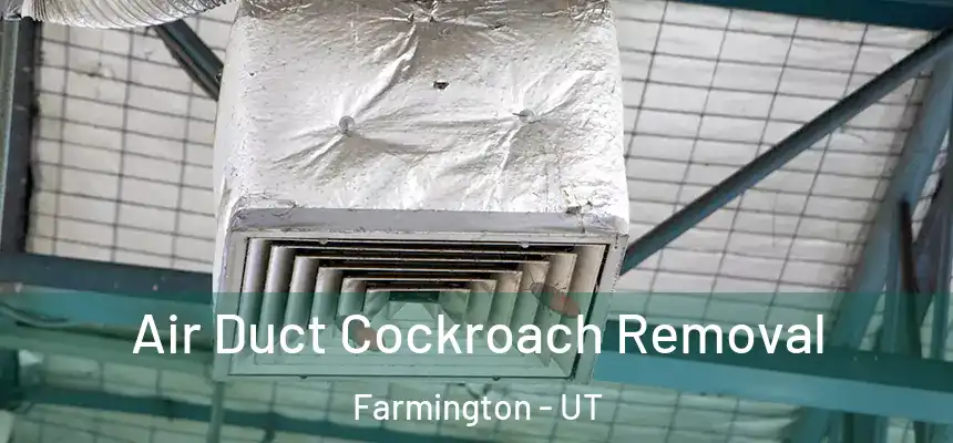  Air Duct Cockroach Removal Farmington - UT