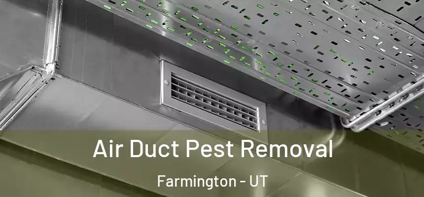  Air Duct Pest Removal Farmington - UT
