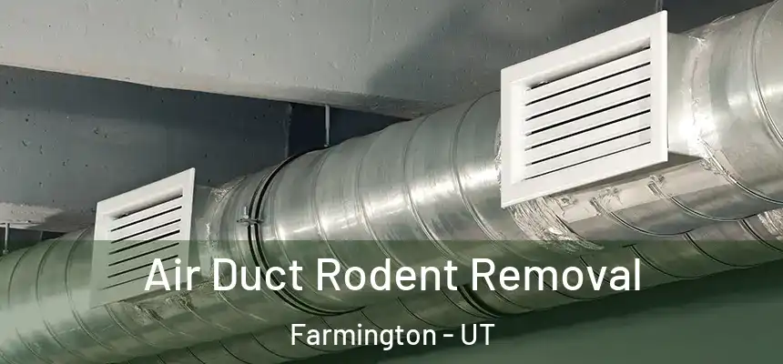 Air Duct Rodent Removal Farmington - UT