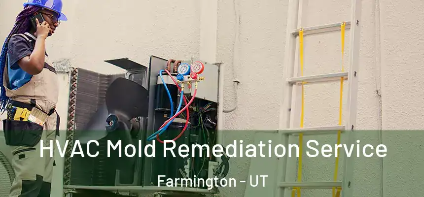  HVAC Mold Remediation Service Farmington - UT