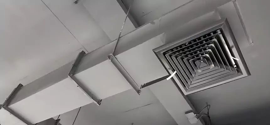 Our Rodent Droppings In Vents Services in Farmington, UT