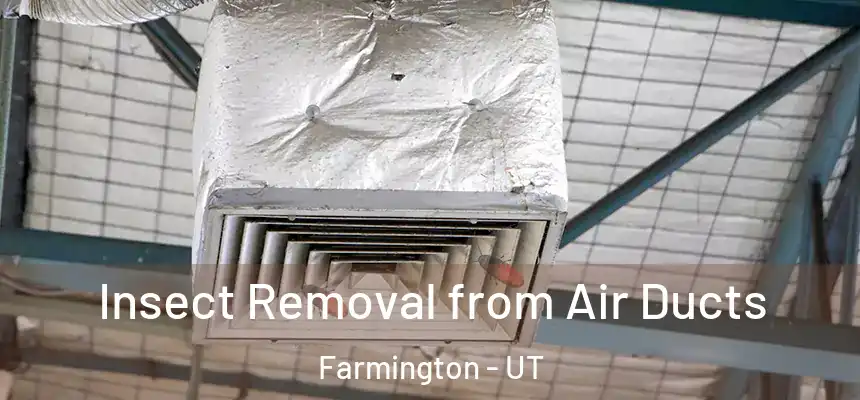  Insect Removal from Air Ducts Farmington - UT