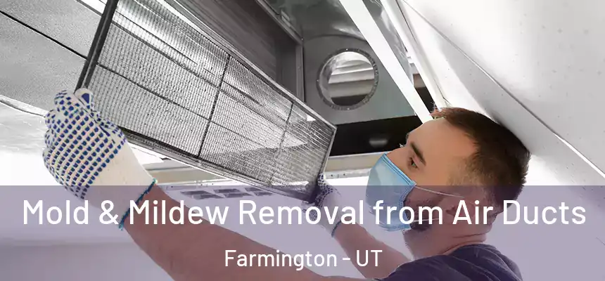  Mold & Mildew Removal from Air Ducts Farmington - UT