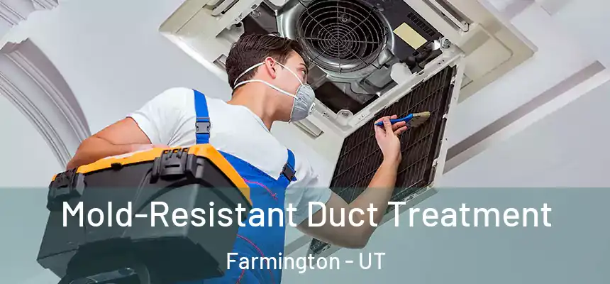  Mold-Resistant Duct Treatment Farmington - UT