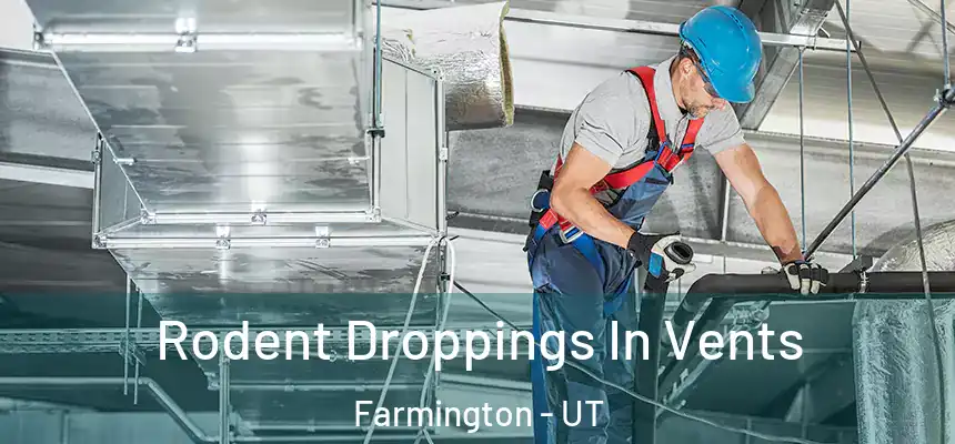  Rodent Droppings In Vents Farmington - UT