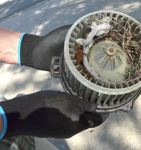 About Air Duct Mice Removal in Farmington, UT