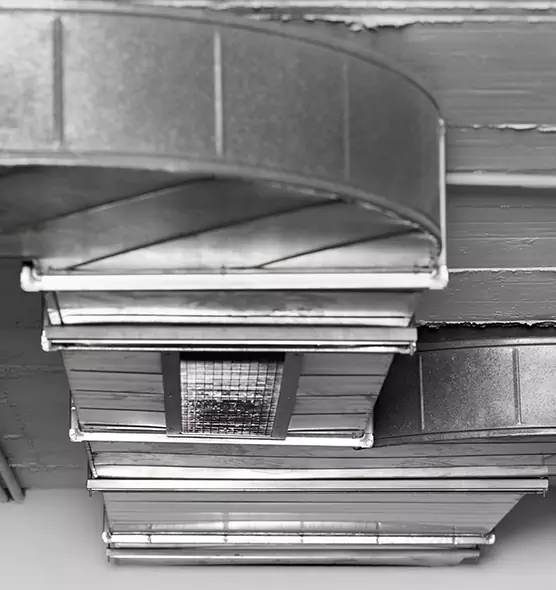 Professional Air Duct Pest Removal in Farmington, UT