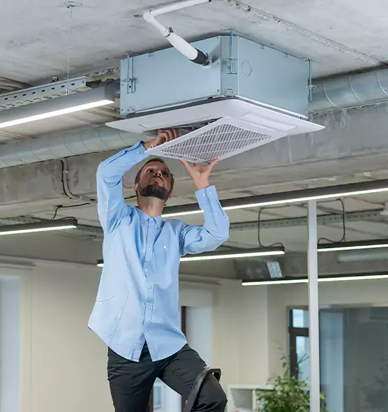 Advanced Rodent Droppings In Vents in Farmington, UT