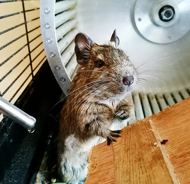 Why Homeowners & Businesses Trust Us Farmington, UT